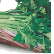 CELERY CRISP 'N' TENDER